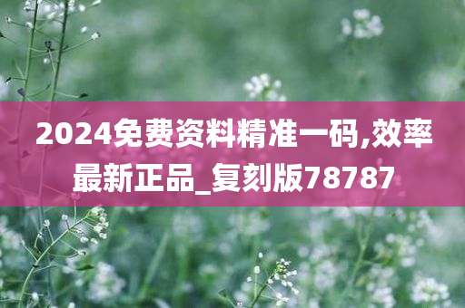 2024免费资料精准一码,效率最新正品_复刻版78787