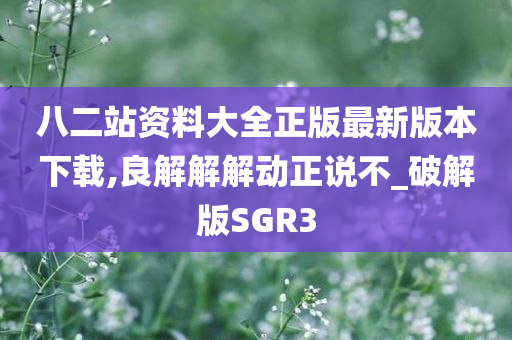 八二站资料大全正版最新版本下载,良解解解动正说不_破解版SGR3