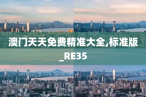 澳门天天免费精准大全,标准版_RE35