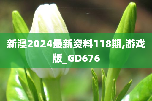 新澳2024最新资料118期,游戏版_GD676