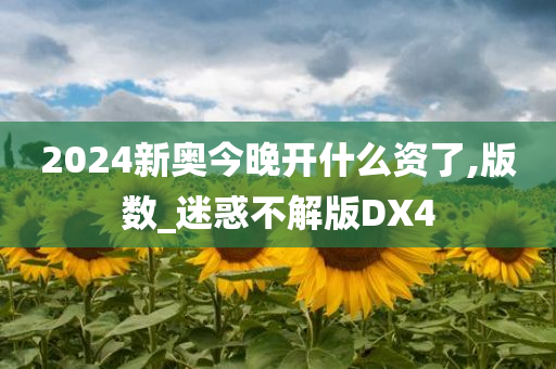 2024新奥今晚开什么资了,版数_迷惑不解版DX4