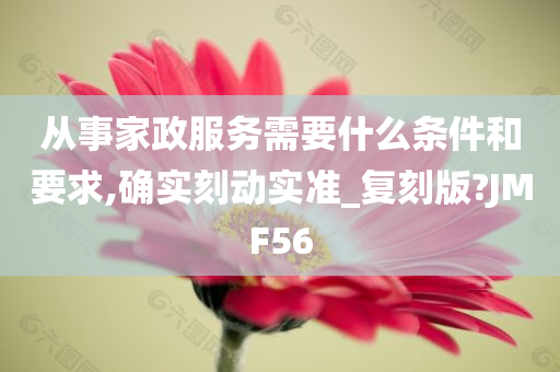 从事家政服务需要什么条件和要求,确实刻动实准_复刻版?JMF56