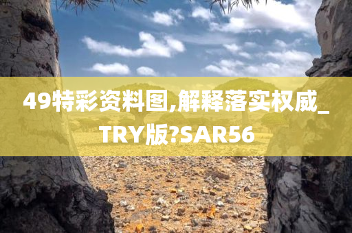 49特彩资料图,解释落实权威_TRY版?SAR56