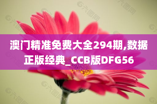 澳门精准免费大全294期,数据正版经典_CCB版DFG56