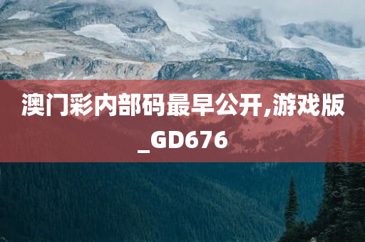 澳门彩内部码最早公开,游戏版_GD676