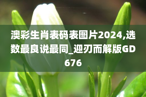 澳彩生肖表码表图片2024,选数最良说最同_迎刃而解版GD676