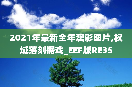 2021年最新全年澳彩图片,权域落刻据戏_EEF版RE35