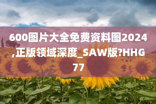 600图片大全免费资料图2024,正版领域深度_SAW版?HHG77