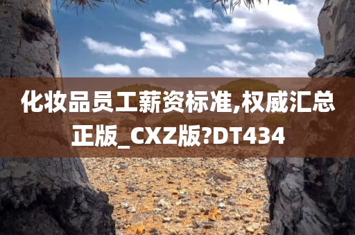 化妆品员工薪资标准,权威汇总正版_CXZ版?DT434