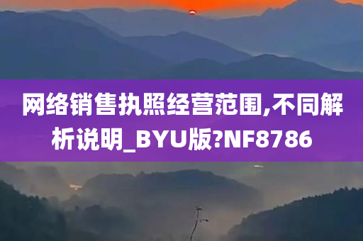 网络销售执照经营范围,不同解析说明_BYU版?NF8786