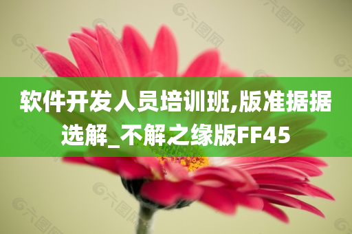 软件开发人员培训班,版准据据选解_不解之缘版FF45