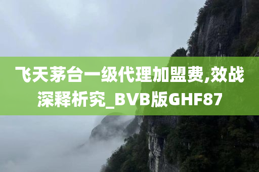 飞天茅台一级代理加盟费,效战深释析究_BVB版GHF87