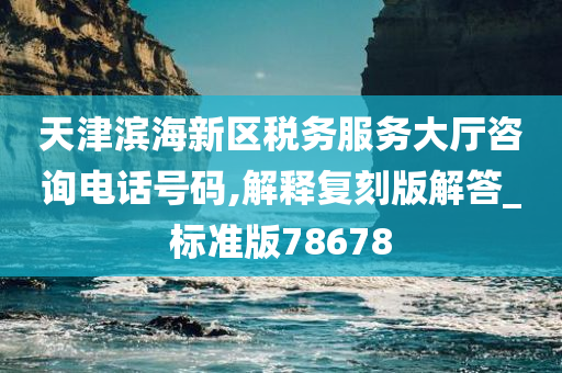 天津滨海新区税务服务大厅咨询电话号码,解释复刻版解答_标准版78678