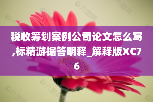 税收筹划案例公司论文怎么写,标精游据答明释_解释版XC76