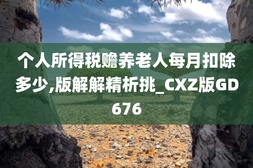 个人所得税赡养老人每月扣除多少,版解解精析挑_CXZ版GD676