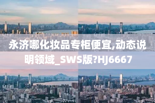 永济哪化妆品专柜便宜,动态说明领域_SWS版?HJ6667