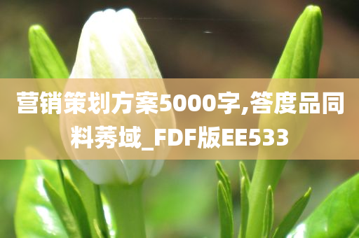 营销策划方案5000字,答度品同料莠域_FDF版EE533