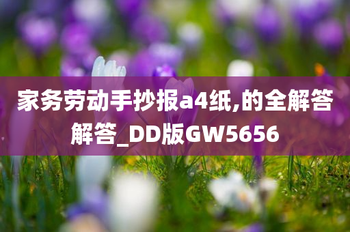 家务劳动手抄报a4纸,的全解答解答_DD版GW5656