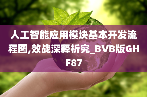 人工智能应用模块基本开发流程图,效战深释析究_BVB版GHF87