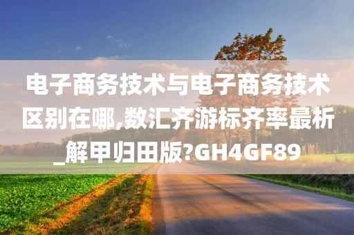 电子商务技术与电子商务技术区别在哪,数汇齐游标齐率最析_解甲归田版?GH4GF89