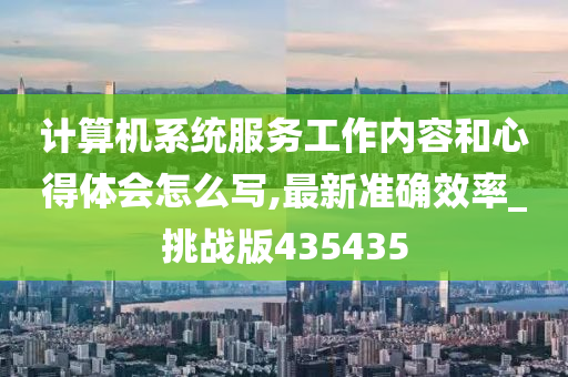 计算机系统服务工作内容和心得体会怎么写,最新准确效率_挑战版435435