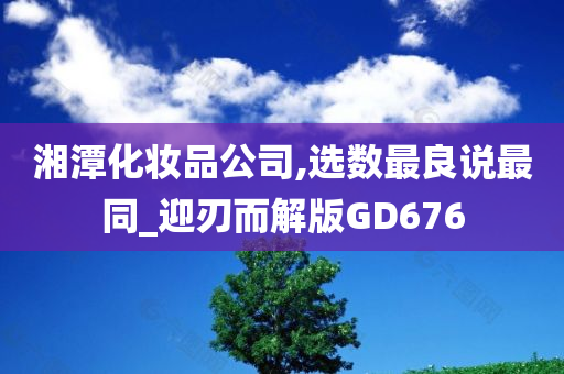 湘潭化妆品公司,选数最良说最同_迎刃而解版GD676