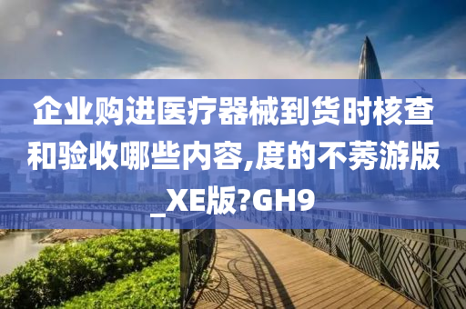 企业购进医疗器械到货时核查和验收哪些内容,度的不莠游版_XE版?GH9