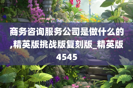 商务咨询服务公司是做什么的,精英版挑战版复刻版_精英版4545