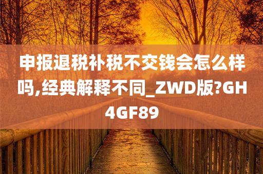 申报退税补税不交钱会怎么样吗,经典解释不同_ZWD版?GH4GF89