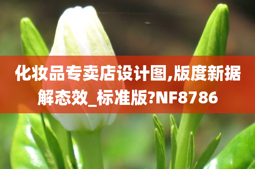 化妆品专卖店设计图,版度新据解态效_标准版?NF8786