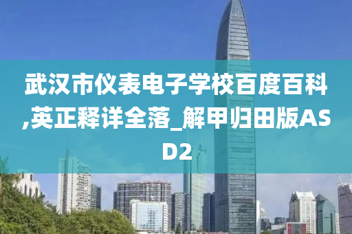 武汉市仪表电子学校百度百科,英正释详全落_解甲归田版ASD2