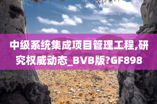 中级系统集成项目管理工程,研究权威动态_BVB版?GF898