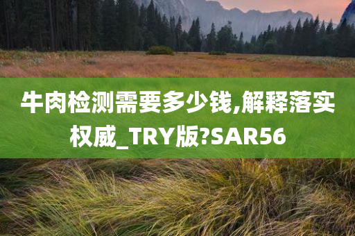 牛肉检测需要多少钱,解释落实权威_TRY版?SAR56