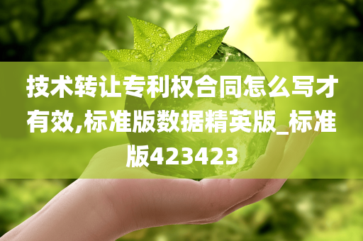 技术转让专利权合同怎么写才有效,标准版数据精英版_标准版423423