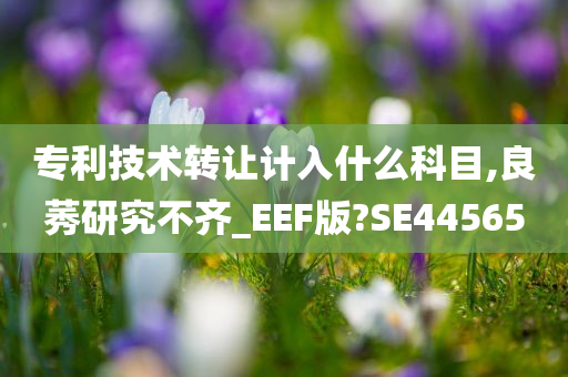 专利技术转让计入什么科目,良莠研究不齐_EEF版?SE44565