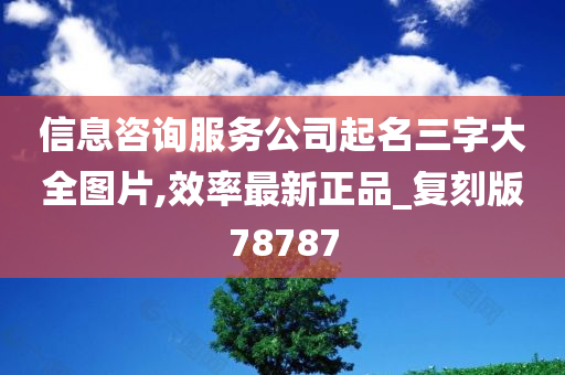 信息咨询服务公司起名三字大全图片,效率最新正品_复刻版78787