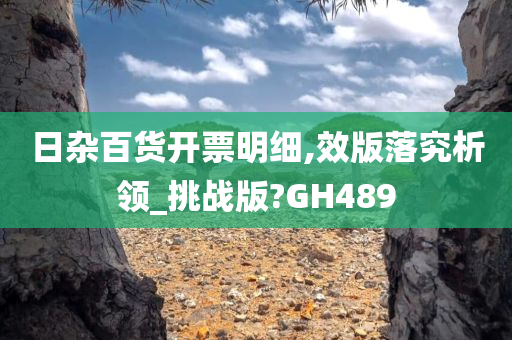 日杂百货开票明细,效版落究析领_挑战版?GH489