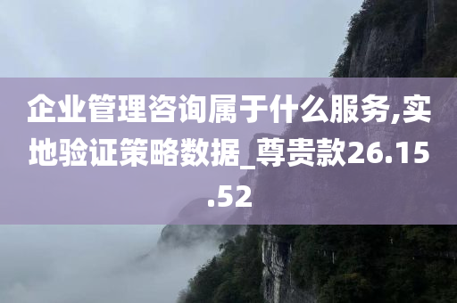 企业管理咨询属于什么服务,实地验证策略数据_尊贵款26.15.52