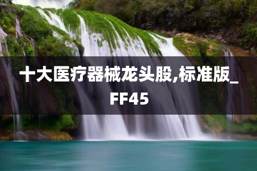 十大医疗器械龙头股,标准版_FF45