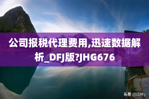 公司报税代理费用,迅速数据解析_DFJ版?JHG676