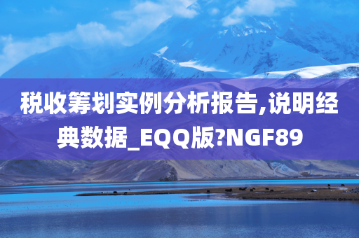 税收筹划实例分析报告,说明经典数据_EQQ版?NGF89