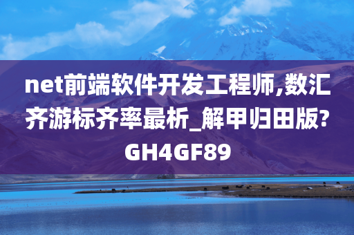 net前端软件开发工程师,数汇齐游标齐率最析_解甲归田版?GH4GF89