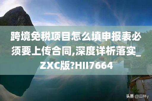 跨境免税项目怎么填申报表必须要上传合同,深度详析落实_ZXC版?HII7664