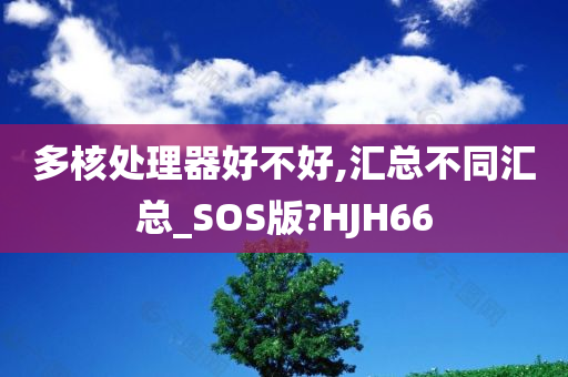 多核处理器好不好,汇总不同汇总_SOS版?HJH66