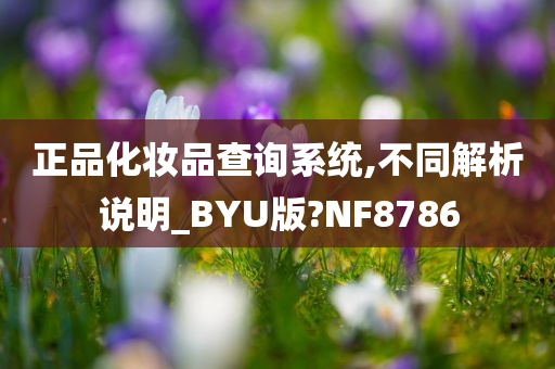 正品化妆品查询系统,不同解析说明_BYU版?NF8786