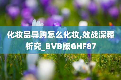 化妆品导购怎么化妆,效战深释析究_BVB版GHF87