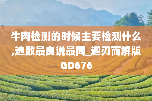 牛肉检测的时候主要检测什么,选数最良说最同_迎刃而解版GD676