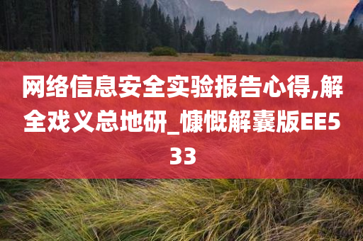 网络信息安全实验报告心得,解全戏义总地研_慷慨解囊版EE533