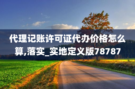 代理记账许可证代办价格怎么算,落实_实地定义版78787