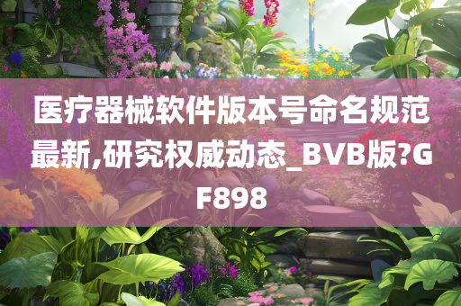 医疗器械软件版本号命名规范最新,研究权威动态_BVB版?GF898